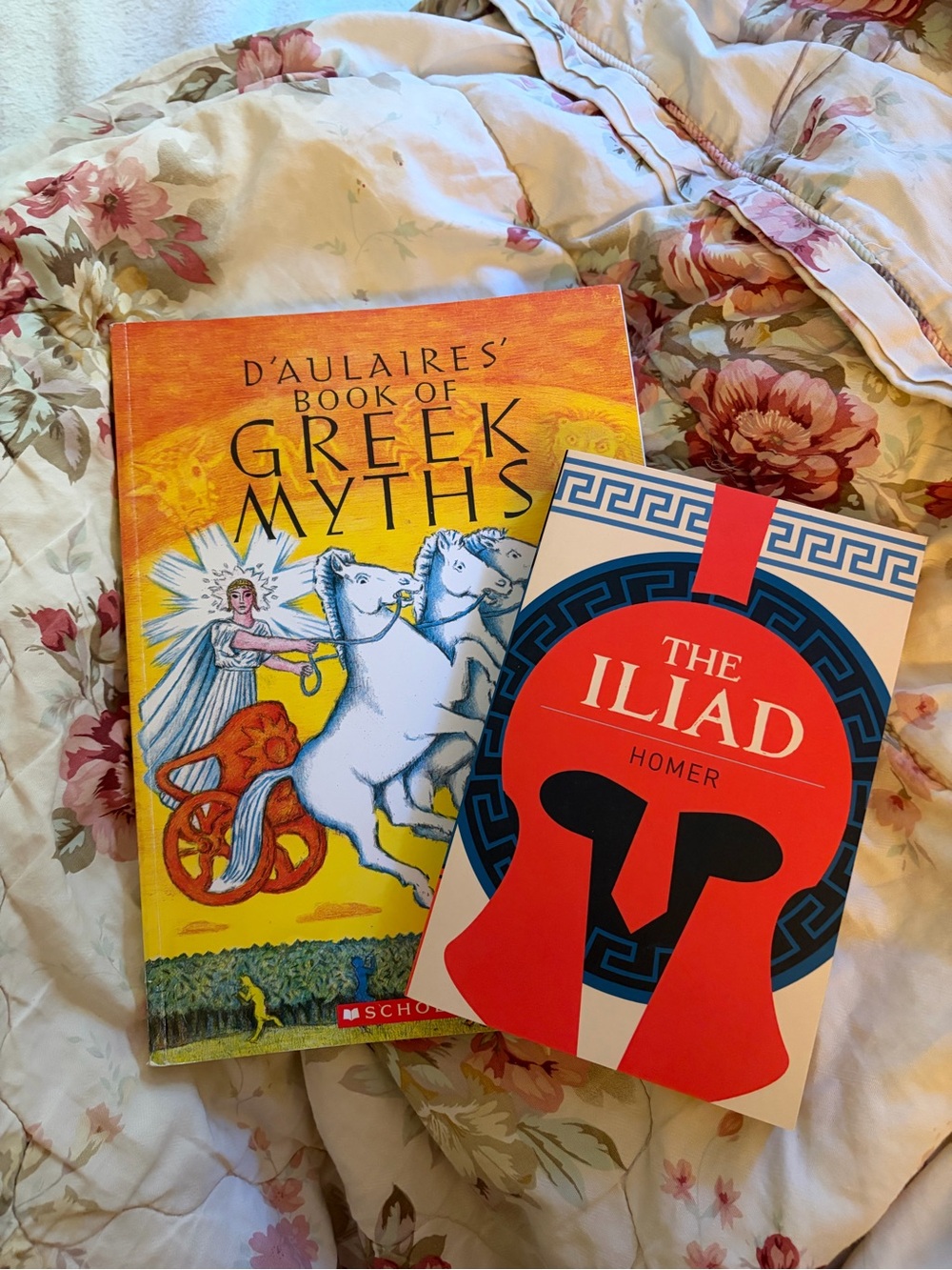 The Iliad by Homer and Greek Myths by D’Aulaires